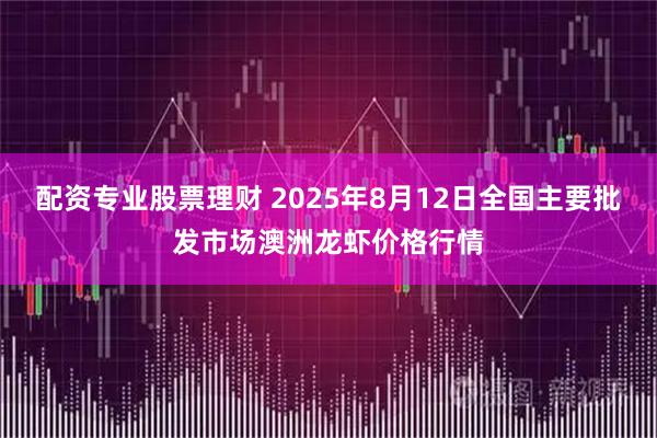 配资专业股票理财 2025年8月12日全国主要批发市场澳洲龙虾价格行情